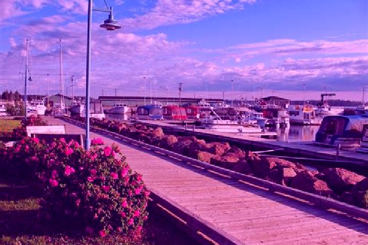 Nova, 23 — Escort in Cap-de-Richibucto, Canada