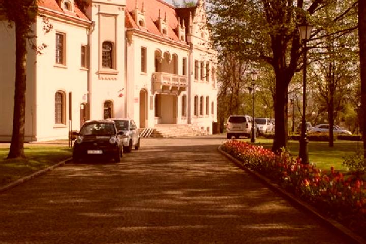 Nova, 23 — Escort in Chorkowka, Poland