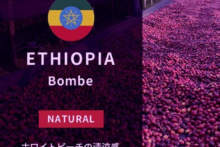Nova, 24 — Escort in Bombe, Ethiopia