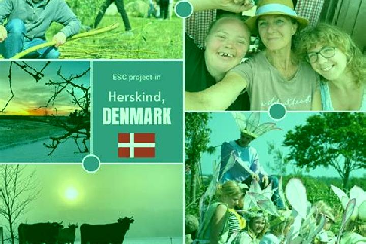 Nova, 24 — Escort in Herskind, Denmark