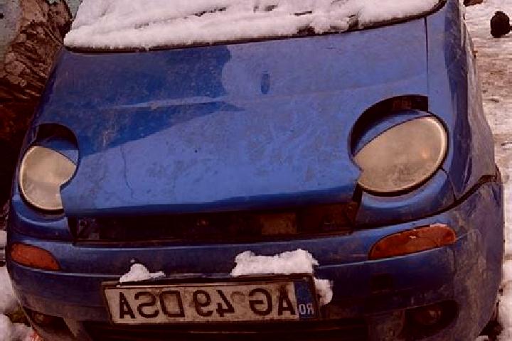 Nova, 24 — Escort in Scheiu de Jos, Romania