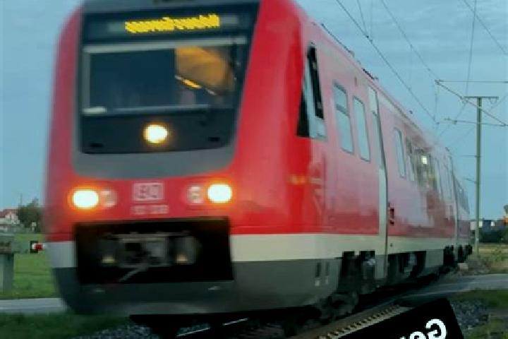 Nova, 24 — Escort in Tannheim, Germany
