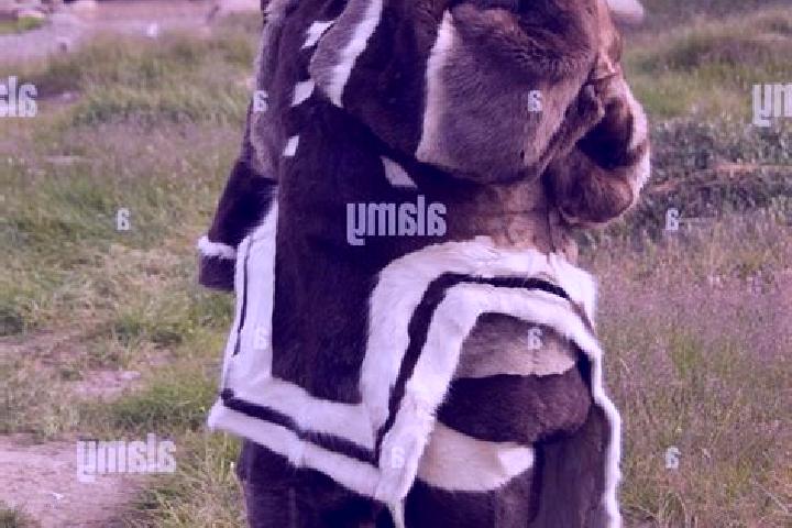 Nova, 25, a black grey-eyed indian companion based in Pangnirtung. Offering OWO, GFE, Prostate Massage, Dinner Date. Available for incall and outcall, overni...