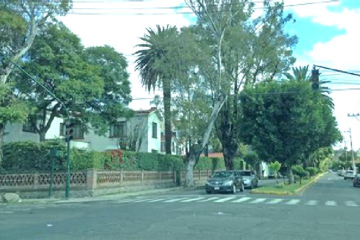 Nova, 25 — Escort in Colonia Anahuac, Mexico