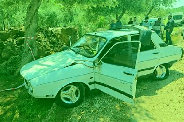 Nova, 25 — Escort in Eskikabasakal, Turkey