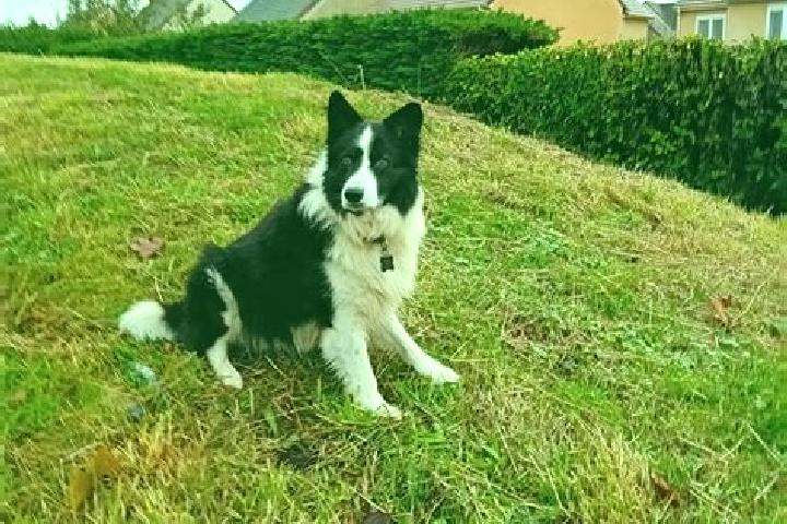 Nova, 25 — Escort in Presilly, France