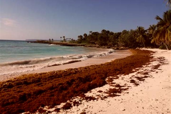 Nova, 25 — Escort in Santa Cruz de El Seibo, Dominican Republic