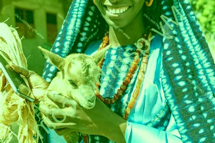 Nova, 25 — Escort in Sinchu Alagi, Gambia
