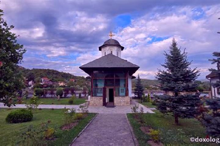 Nova, 25 — Escort in Vladesti, Romania