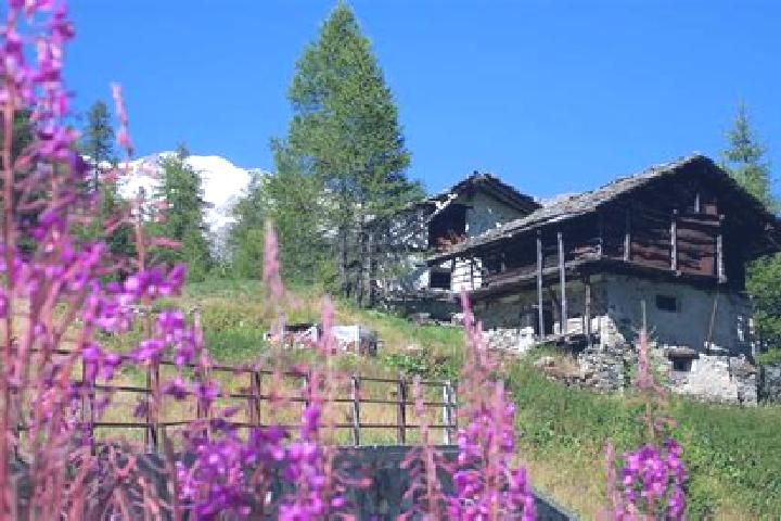 Nova, 26 — Escort in Alagna Valsesia, Italy