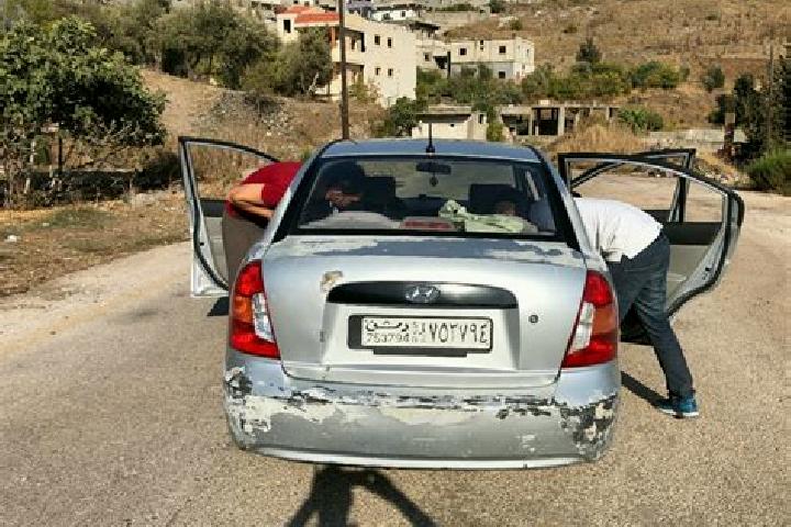 Nova, 26 — Escort in An Nabk, Syria