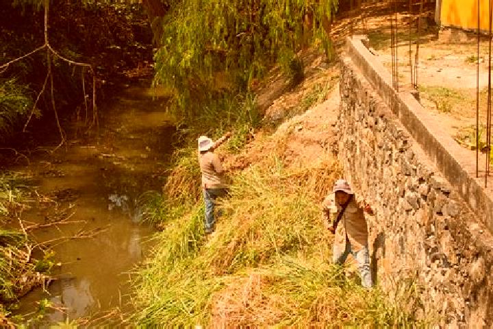 Nova, 26 — Escort in Arroyo del Maiz Uno, Mexico