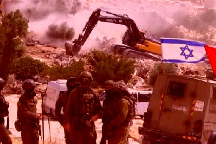 Nova, 26 — Escort in Bardalah, Palestine