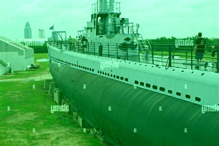 Nova, 26 — Escort in Conning Towers-Nautilus Park, United States