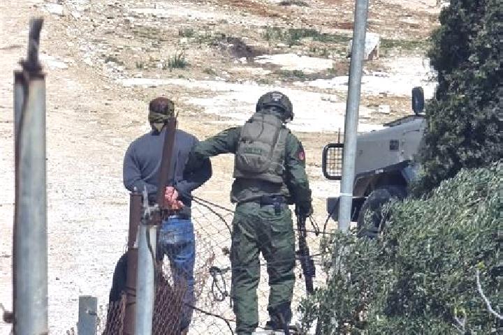 Nova, 26 — Escort in Khallat al Luzah, Palestine