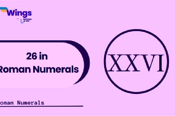 Nova, 26 — Escort in Ningchegu, China