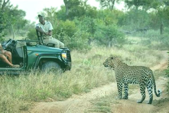 Nova, 26 — Escort in Sabi-Sand Game Reserve, South Africa