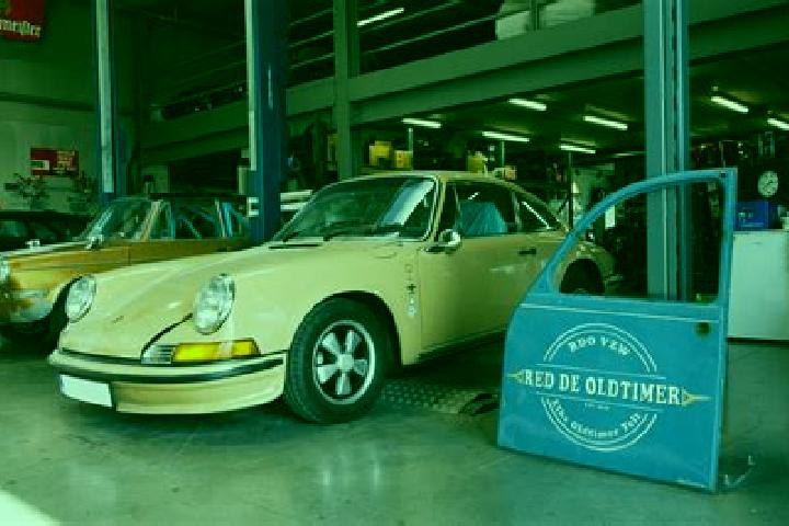 Nova, 26 — Escort in Schuiferskapelle, Belgium