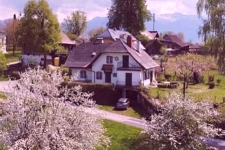 Nova, 26 — Escort in Selpritsch, Austria