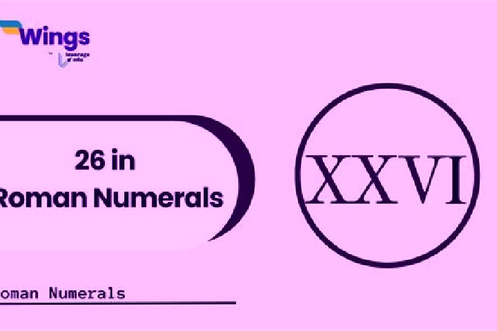 Nova, 26 — Escort in Siguqiao, China