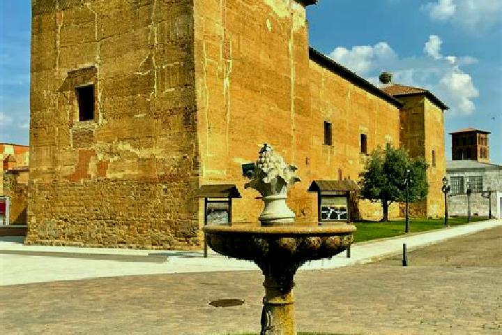 Nova, 26 — Escort in Toral de los Guzmanes, Spain