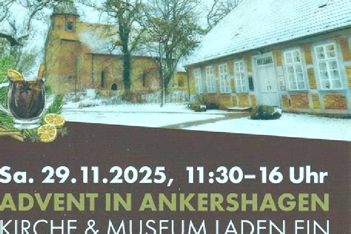 Nova, 27 — Escort in Ankershagen, Germany