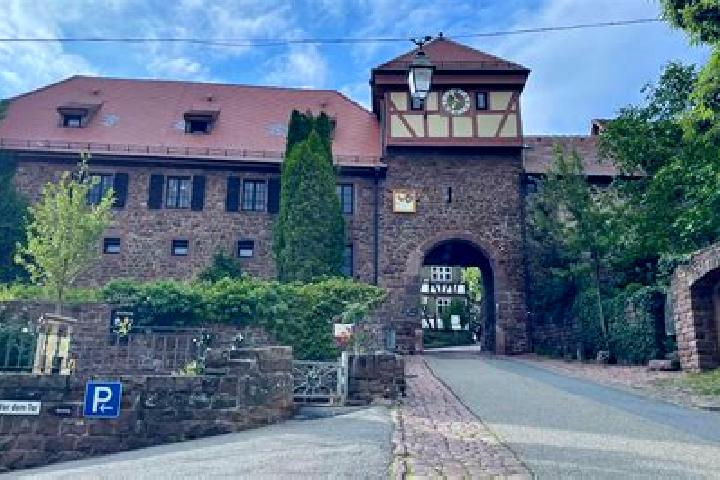 Nova, 27 — Escort in Borgwedel, Germany