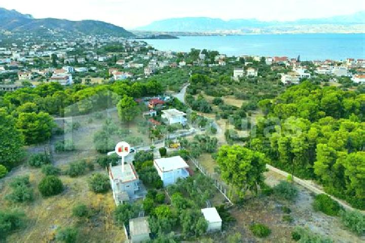 Nova, 27 — Escort in Kato Almyri, Greece