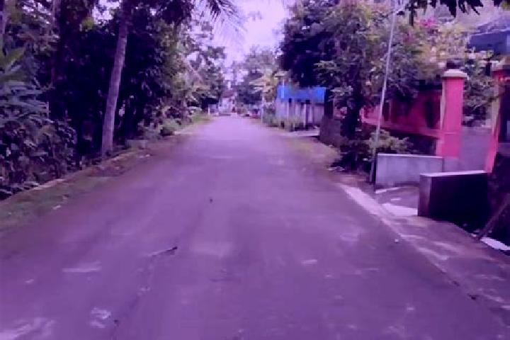 Nova, 27 — Escort in Krajan Jamprong, Indonesia