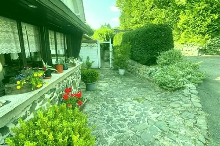 Nova, 27 — Escort in Marktleugast, Germany