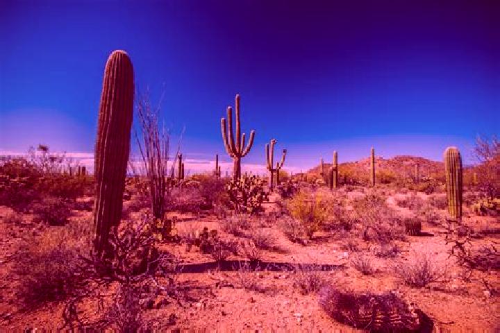 Nova, 27 — Escort in Mezquite Mata del Tigre, Mexico