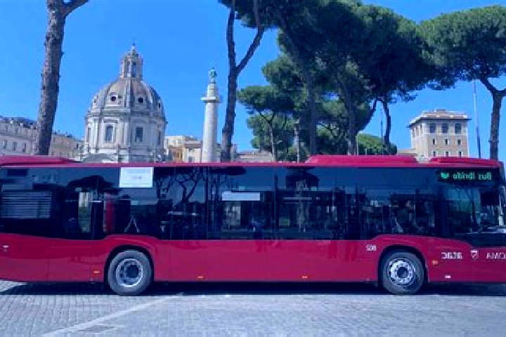 Nova, 27 — Escort in Piaggine, Italy