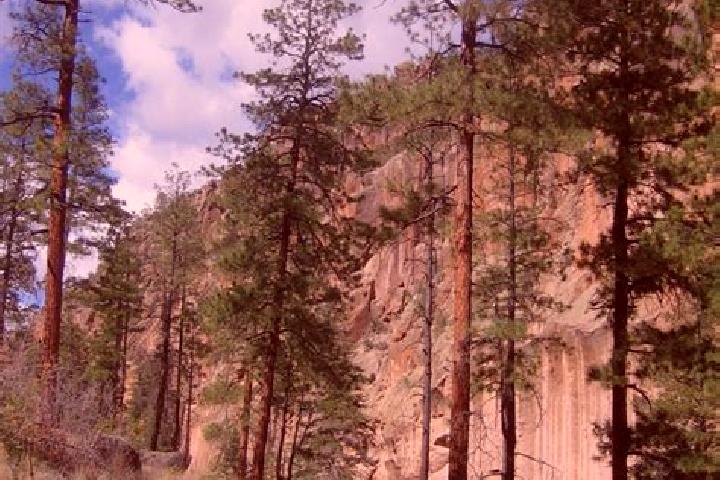 Nova, 27 — Escort in Ponderosa Pine, United States
