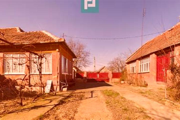 Nova, 27 — Escort in Secusigiu, Romania