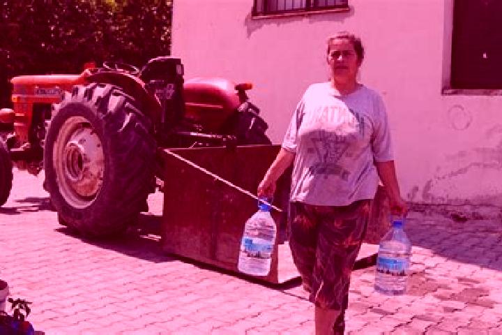 Nova, 27 — Escort in Yakakoey, Turkey