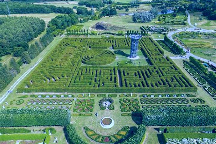 Nova, 28 — Escort in Dobrzyca, Poland