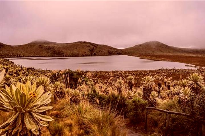 Nova, 28 — Escort in El Angel, Ecuador