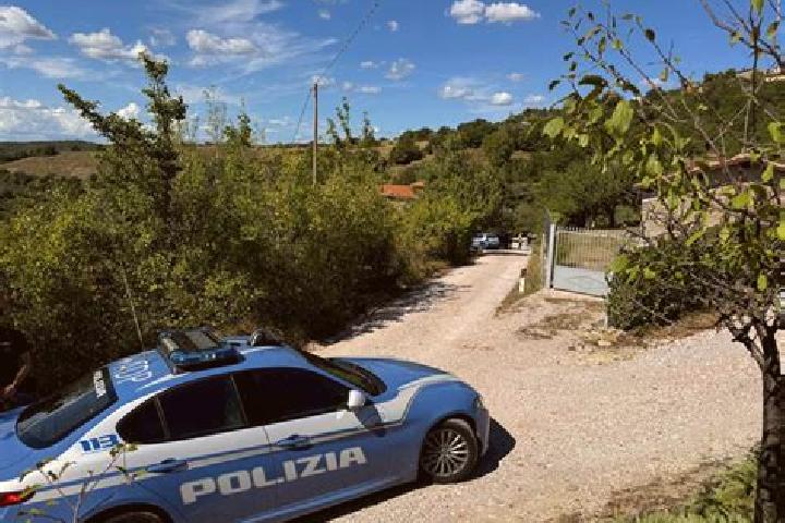 Nova, 28 — Escort in Fratticiola Selvatica, Italy