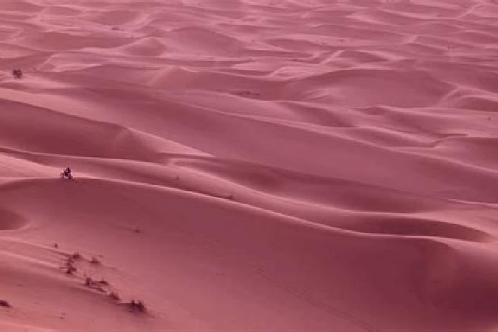 Nova, 28 — Escort in Meharrize, Western Sahara