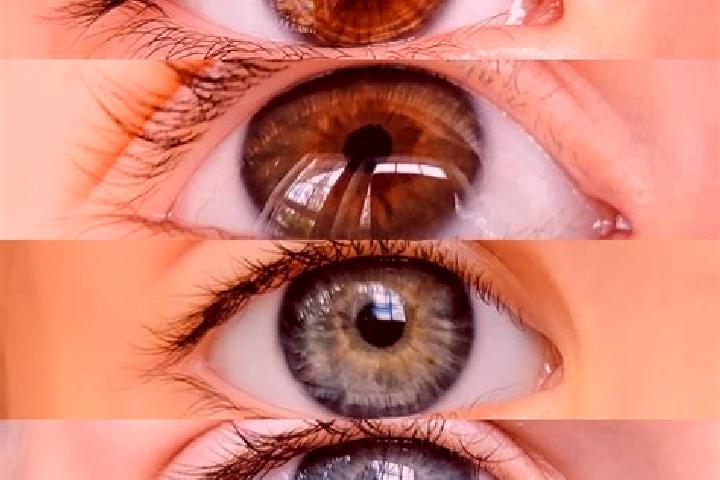 Nova, 29, a chestnut grey-eyed mixed companion based in Zone industriel Ducos. Offering Duos, GFE. Available for incall and outcall, day and evening dates.