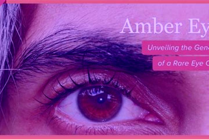 Nova, 29, a red amber-eyed mixed companion based in Noordpeene. Offering Massage, Striptease, Couples, Girlfriend Experience. Available for incall and outcal...
