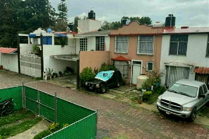 Nova, 29 — Escort in Ahuacatitlan Centro, Mexico