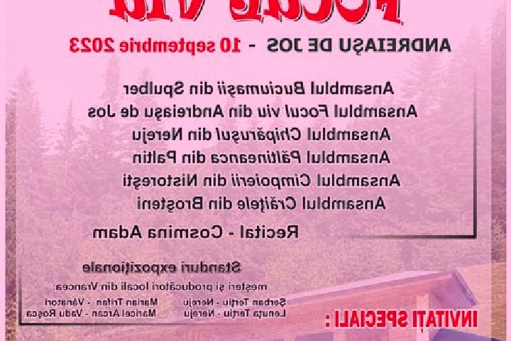 Nova, 29 — Escort in Andreiasu de Jos, Romania
