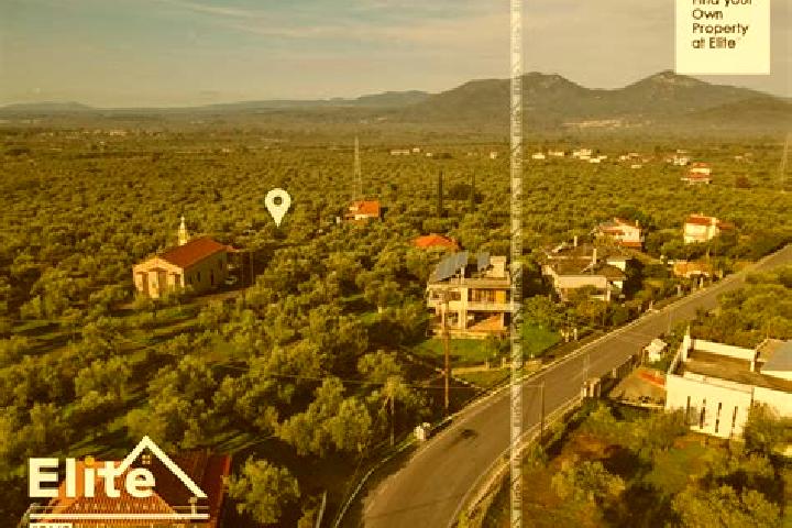 Nova, 29 — Escort in Arfara, Greece