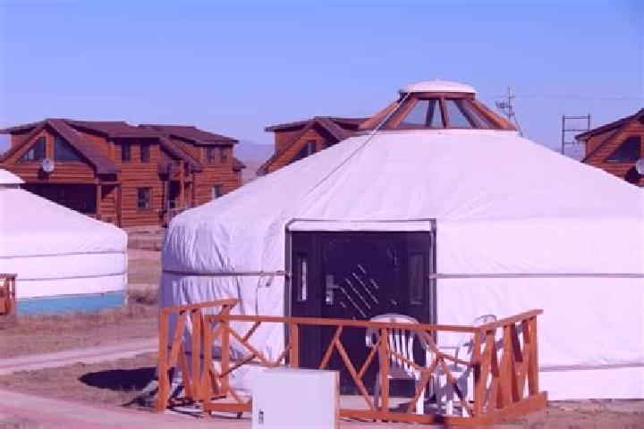 Nova, 29 — Escort in Argalant, Mongolia