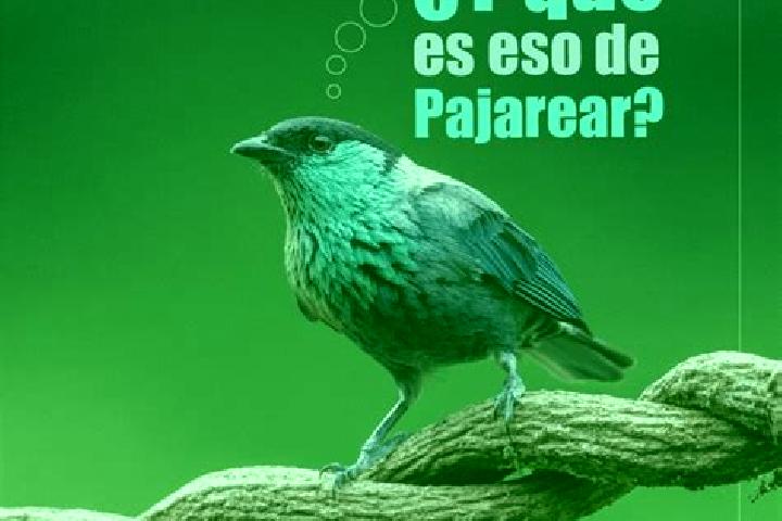 Nova, 29 — Escort in El Paujil, Colombia