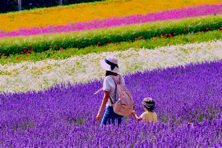 Nova, 29 — Escort in Kami-furano, Japan