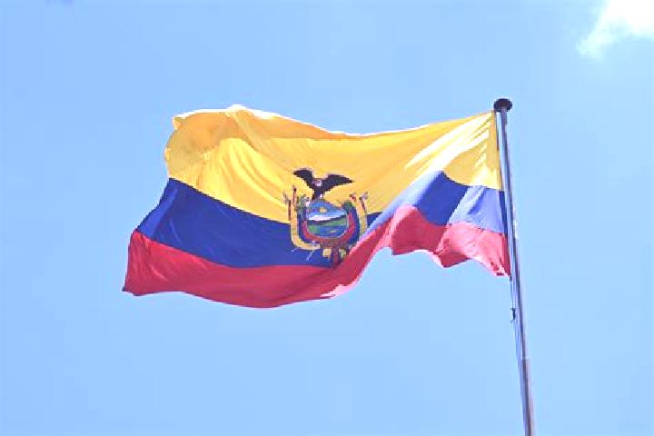 Nova, 29 — Escort in Las Mercedes, Ecuador