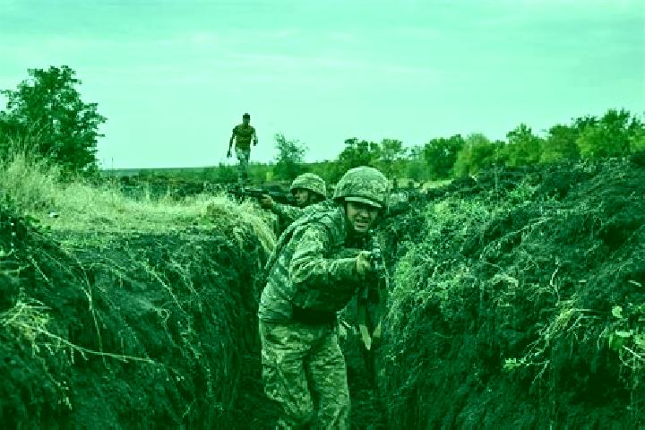 Nova, 29 — Escort in Prydorozhnye, Ukraine
