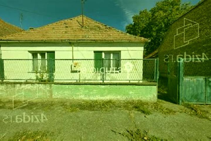 Nova, 29 — Escort in Ravni Topolovac, Serbia